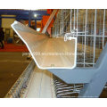 Poultry Farm Equipment of Chicken Cage for Broiler and Layer